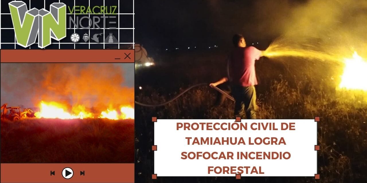 PROTECCIÓN CIVIL DE TAMIAHUA LOGRA SOFOCAR INCENDIO FORESTAL