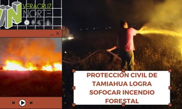 PROTECCIÓN CIVIL DE TAMIAHUA LOGRA SOFOCAR INCENDIO FORESTAL