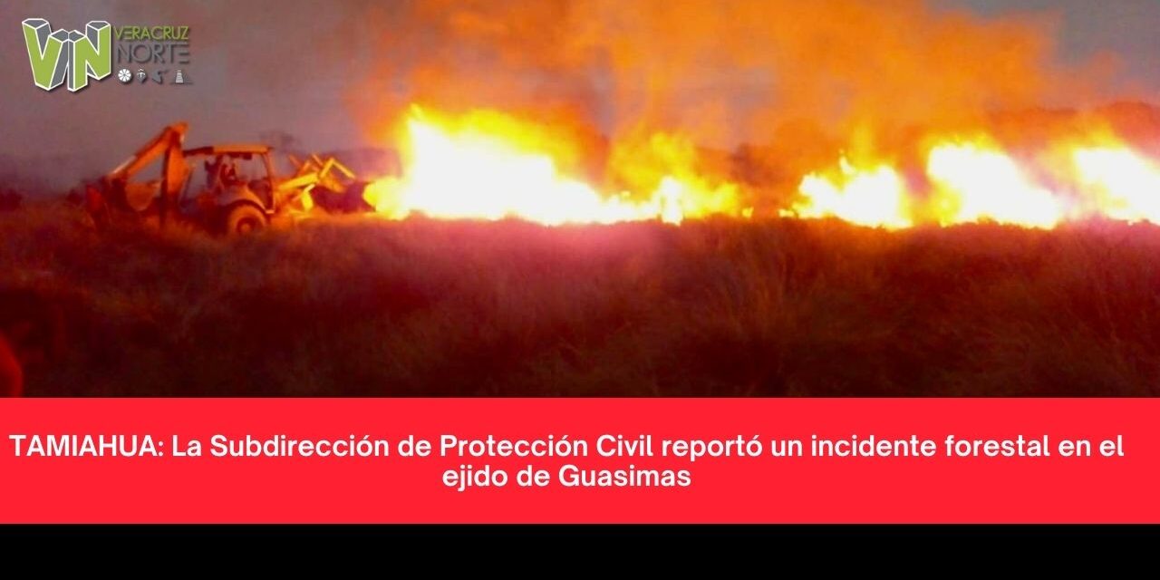 TAMIAHUA: La Subdirección de Protección Civil reportó un incidente forestal en el ejido de Guasimas