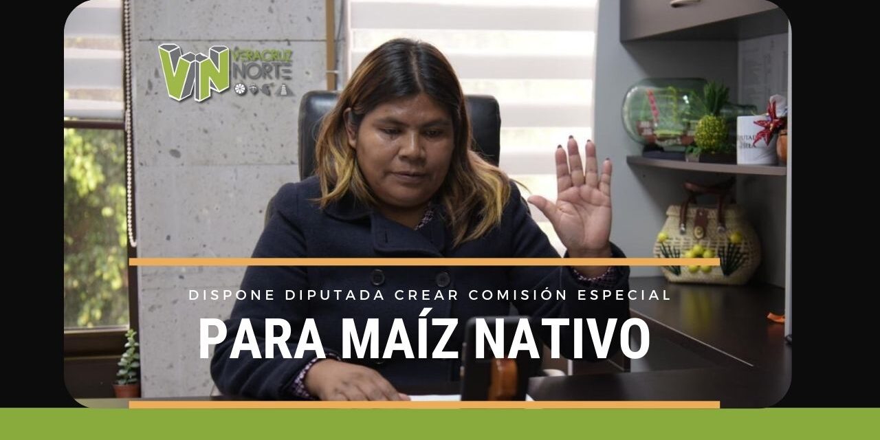 Propone Diputada Crear Comisión Especial para el Maíz Nativo