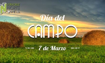 Naranjos: Día mundial del Campo