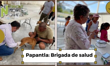 Papantla: Brigada de salud