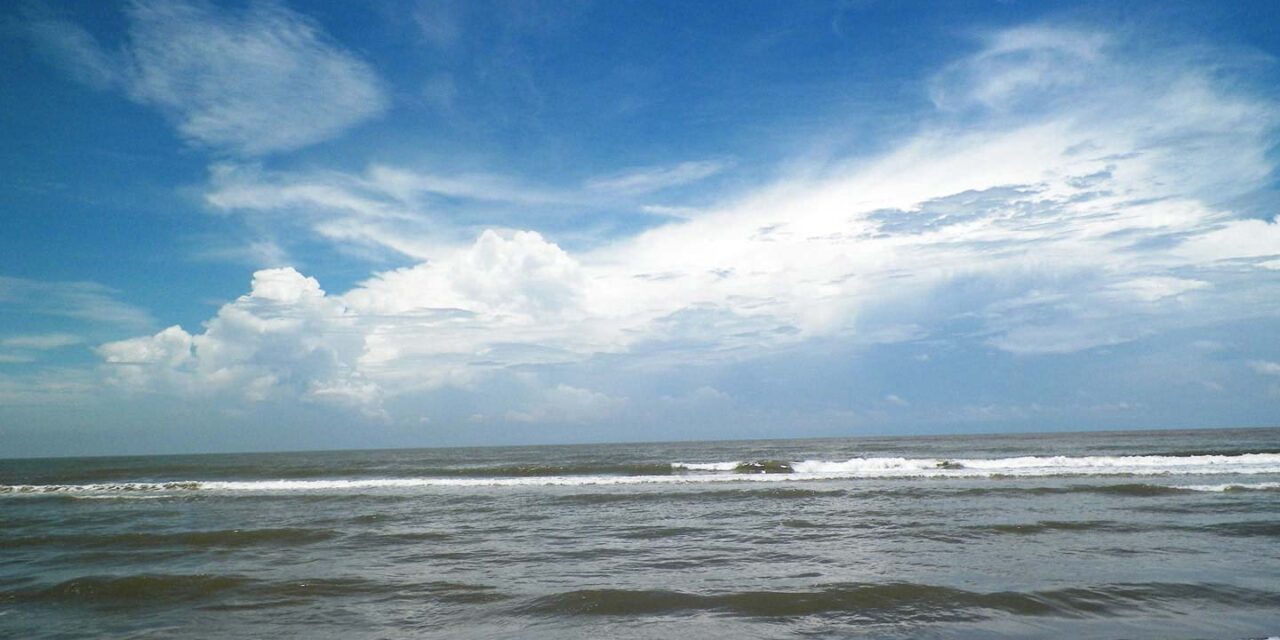 Visita playas y manglares de Tecolutla
