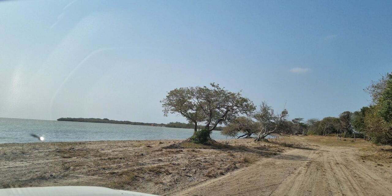Ozuluama: Limpieza de la playa de Aguas Claras