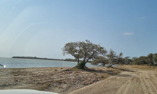 Ozuluama: Limpieza de la playa de Aguas Claras