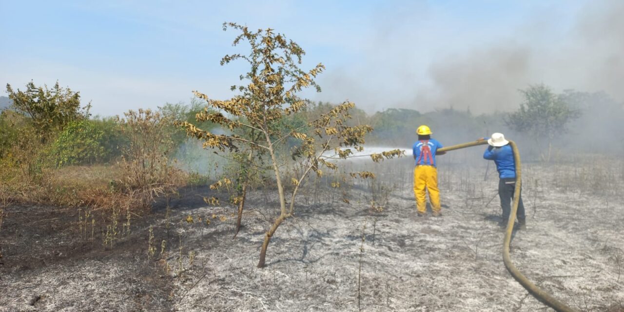 Álamo: Atención a incendio en el ejido La Reforma Agraria en los limites con Lima Tamatoco