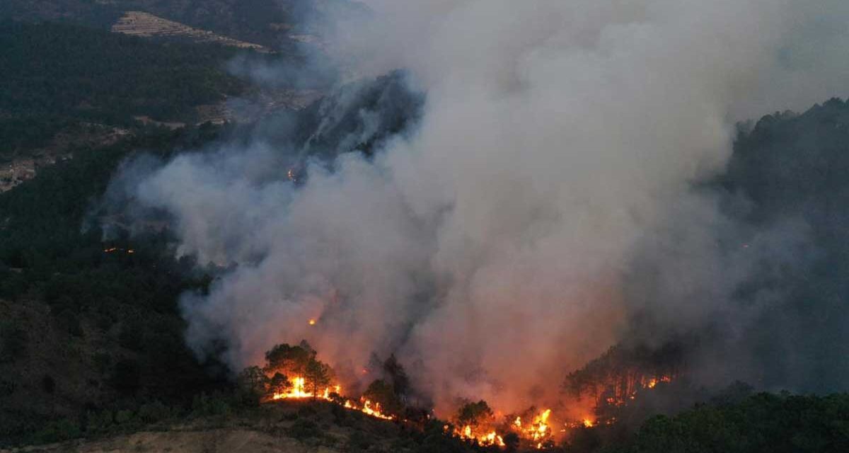 Ozuluama: Información para saber que hacer en caso de un Incendio Forestal