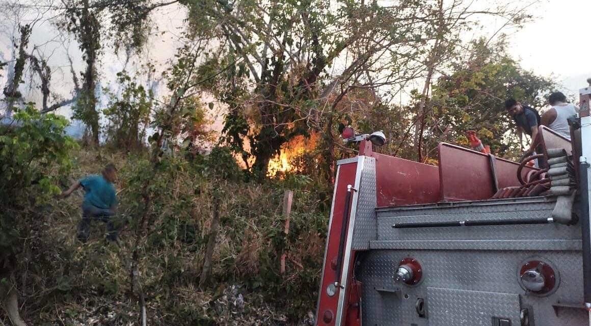 Tihuatlán: Incendio en pastizales en la comunidad de Zipatlan y Tecoxtempan