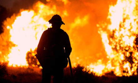 Gutiérrez Zamora: Día Internacional de los Combatientes de Incendios Forestales