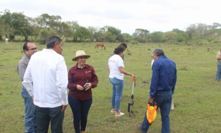Lupita Rodríguez, gestiona relleno sanitario para Tamiahua
