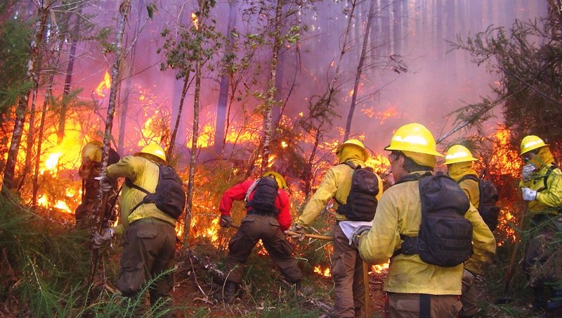 Tantoyuca: Día Internacional del Combatiente de Incendios Forestales