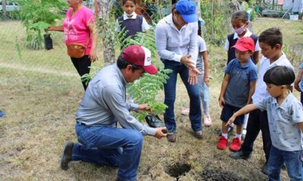 Ozuluama: Adopción de árboles en el CAIC de Campanario
