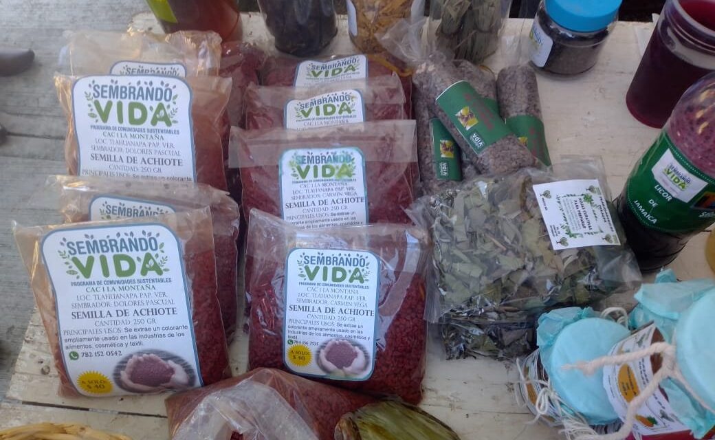 Álamo: Programa «Sembrando Vida» en el Segundo Foro Citrícola