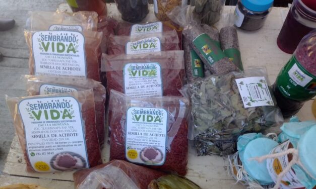 Álamo: Programa «Sembrando Vida» en el Segundo Foro Citrícola