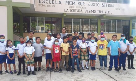 Álamo: Implementación de activación física en nivel primaria