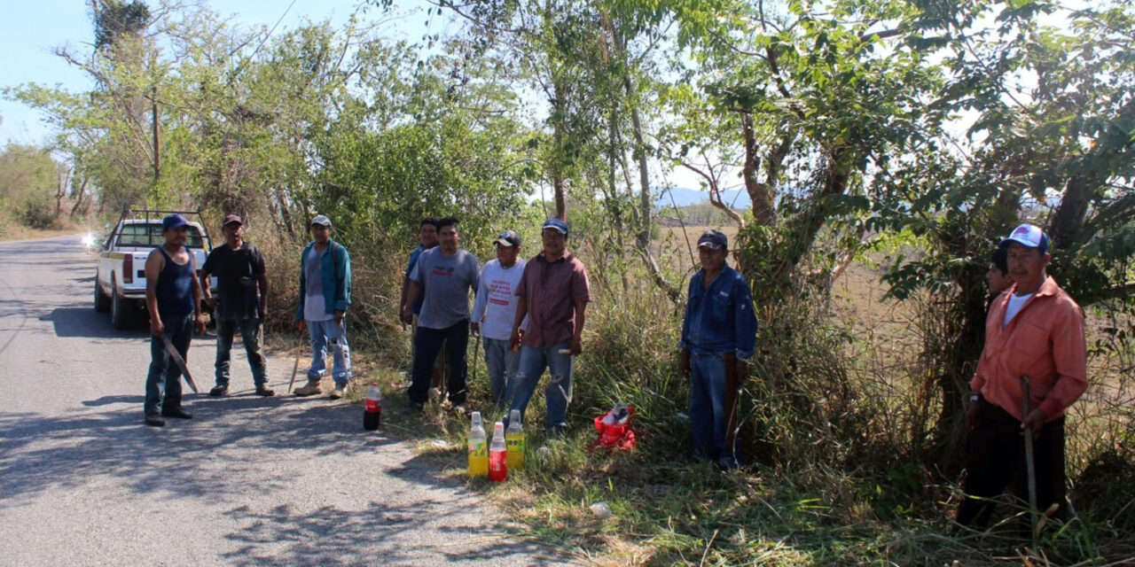 Coatzintla: Limpieza en ambos lados de la carretera y Troncones