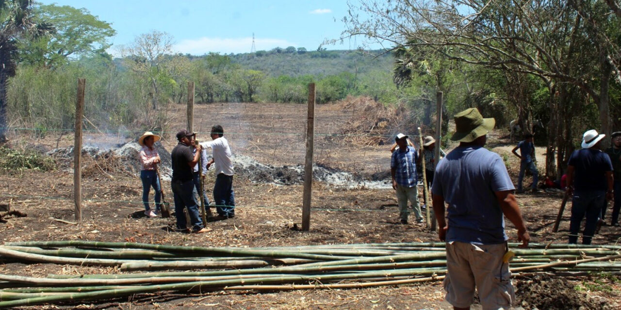 Proyecto de Escuelas Campesinas en Coatzintla