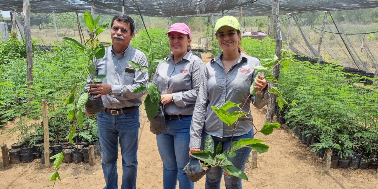 Ozuluama: Sembrando Vida en la comunidad de San Luciano