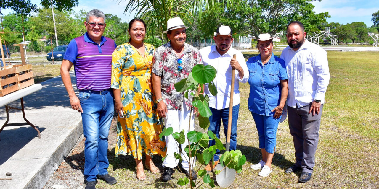 Naranjos: Día Mundial del Medio Ambiente 2022