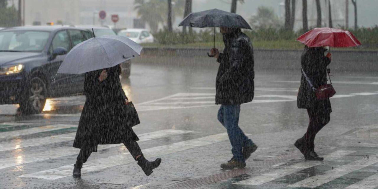 Naranjos: Protégete en tiempo de lluvia