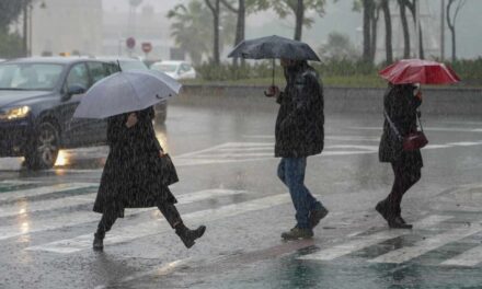 Naranjos: Protégete en tiempo de lluvia
