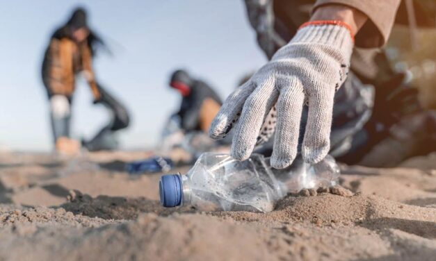 Cazones: «Limpia tu playa» 2022