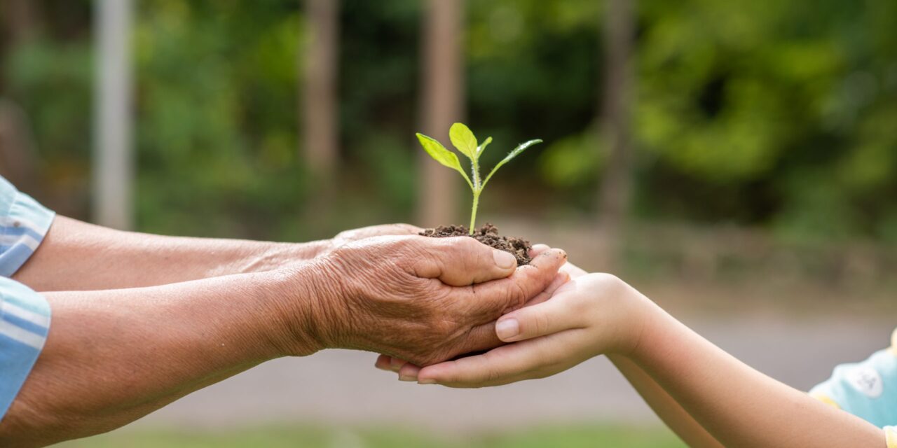 Coatzintla: Día Mundial del Medio Ambiente