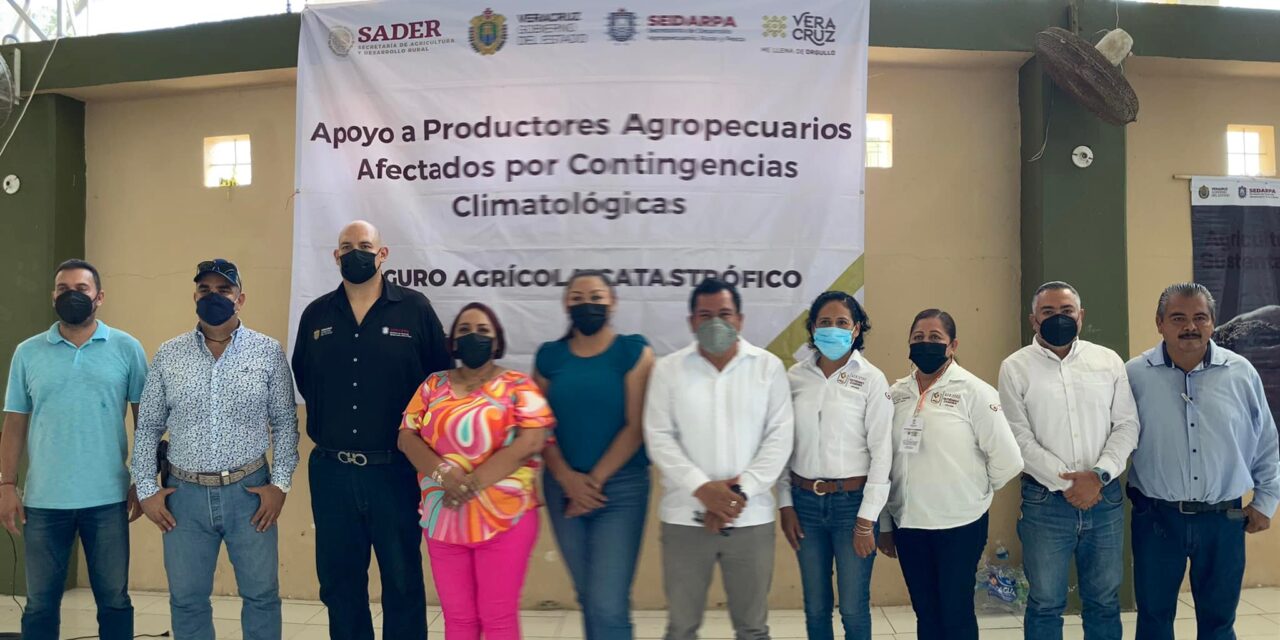 Gutiérrez Zamora: Entrega de apoyo a 965 productores agropecuarios afectados por contingencias climatológicas