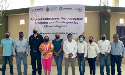 Gutiérrez Zamora: Entrega de apoyo a 965 productores agropecuarios afectados por contingencias climatológicas
