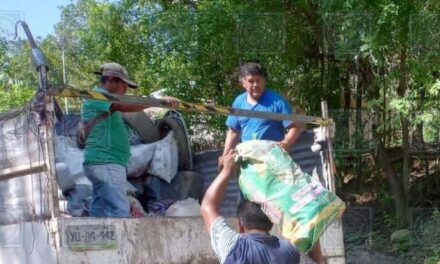 H. Ayuntamiento de Tantoyuca con apoyo en acciones de descacharrización