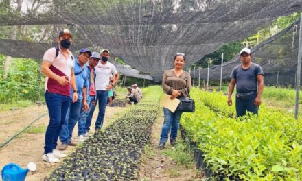 Platón Sánchez: Donación de 4,000 plantas de diferentes especies