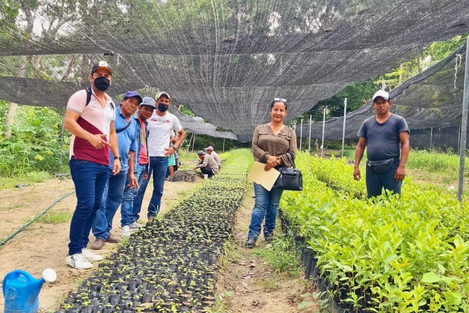Platón Sánchez: Donación de 4,000 plantas de diferentes especies
