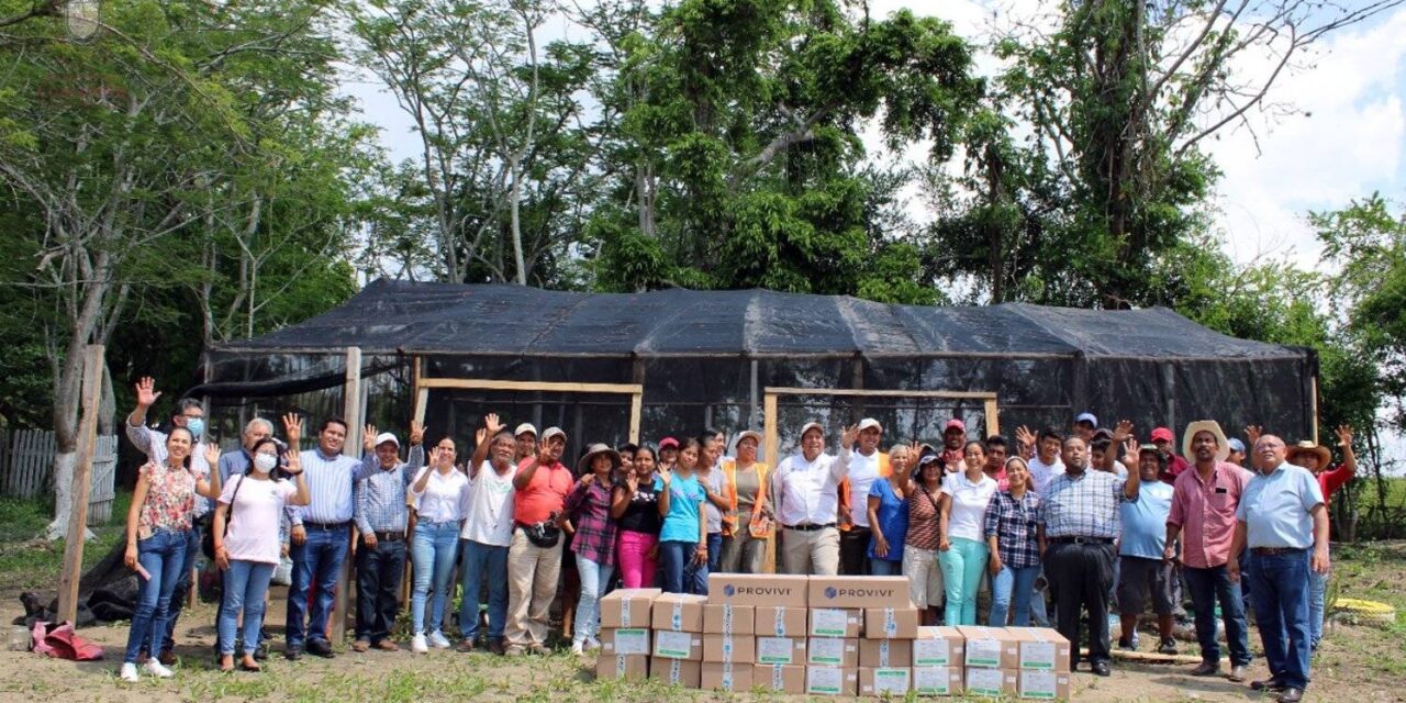 Coatzintla: Entrega de feromonas PROVIVI para distribuirse en 340 hectáreas de terreno