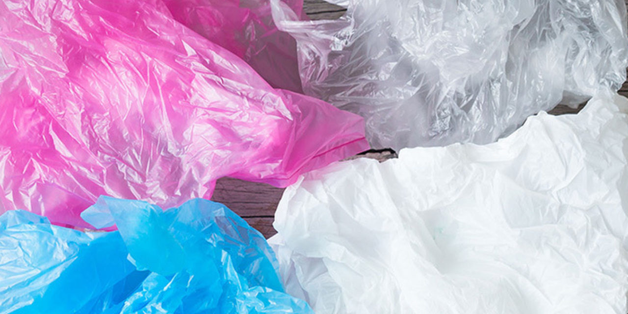 Gutiérrez Zamora: Día Internacional Libre de Bolsas de Plásticos