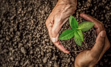 Gutiérrez Zamora: Día Internacional de la Conservación de los Suelos
