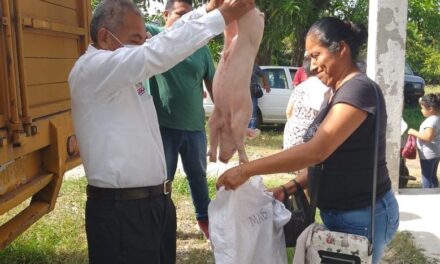 Tecolutla: Entrega de lechones a mujeres del programa «Módulos para la asistencia alimentaria»