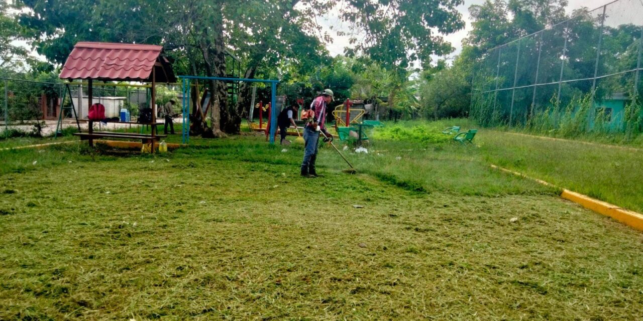 Chontla: Poda de árboles y mantenimiento de la entrada principal