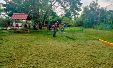 Chontla: Poda de árboles y mantenimiento de la entrada principal