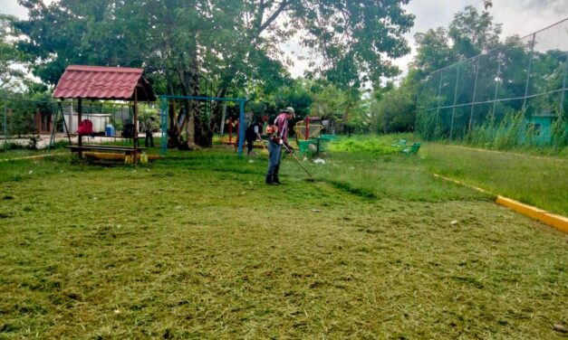 Chontla: Poda de árboles y mantenimiento de la entrada principal