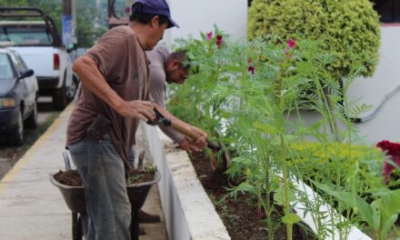 Comienzan los preparativos para la celebración de la fiesta de “Xantolo Platón Sánchez 2022”