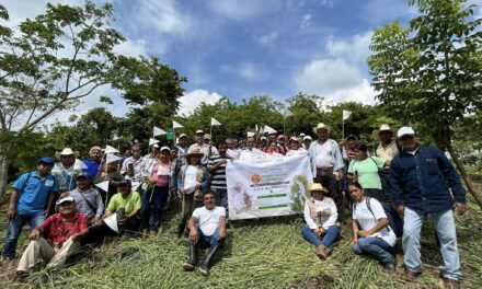 Gutiérrez Zamora: Tercera Jornada Nacional de Siembra «Cosechando vida, cosechando futuro»