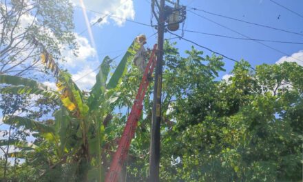 Tamiahua: Concluye el mantenimiento de luminarias en la col. independencia