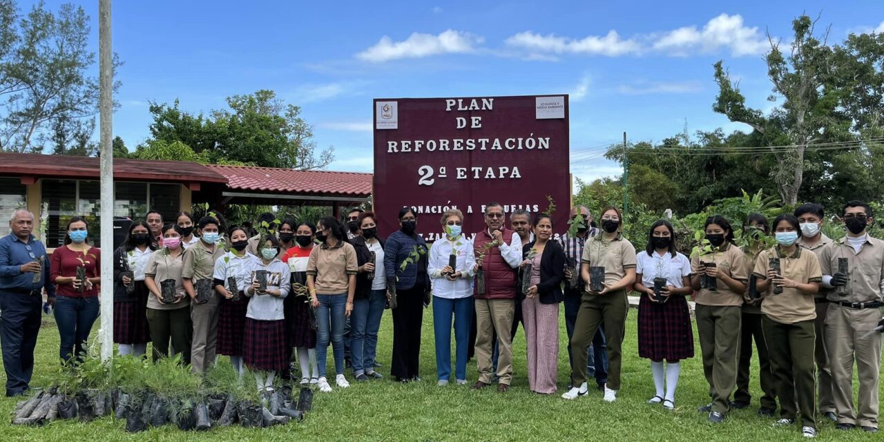 Segunda etapa de reforestación en Gutiérrez Zamora