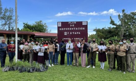 Segunda etapa de reforestación en Gutiérrez Zamora