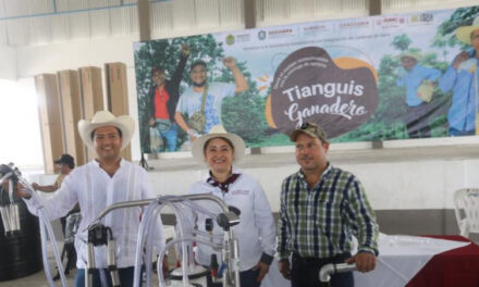Álamo: Tianguis Ganadero