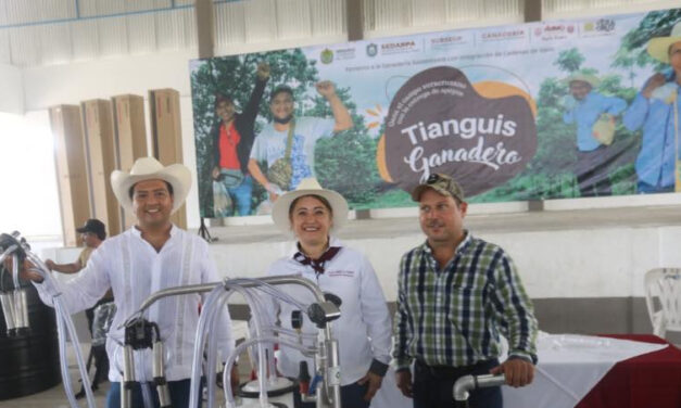 Álamo: Tianguis Ganadero