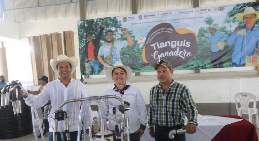 Álamo: Tianguis Ganadero