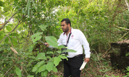 Atiende catastro municipal petición del séptimo batallón en Coatzintla