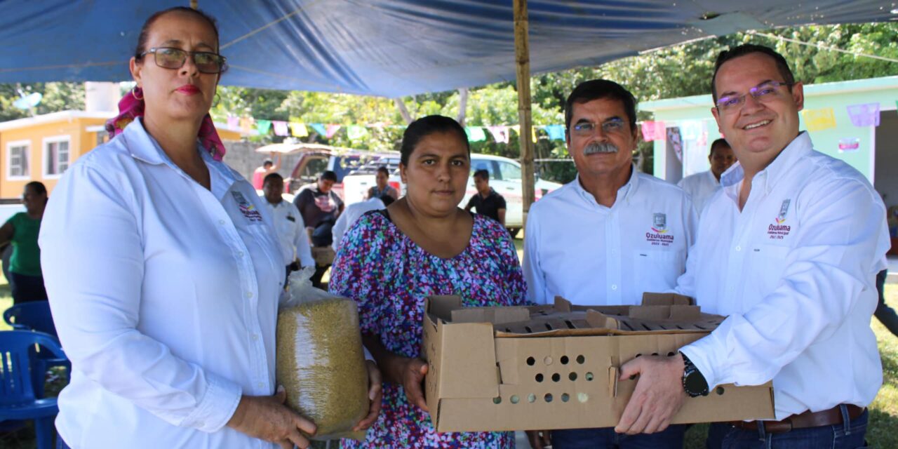 Ozuluama: En San Luciano se realiza la entrega de los paquetes de pollos municipal