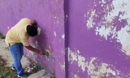 Tamiahua: Mantenimiento en pintura al estadio municipal Leoncio Ramos Careaga